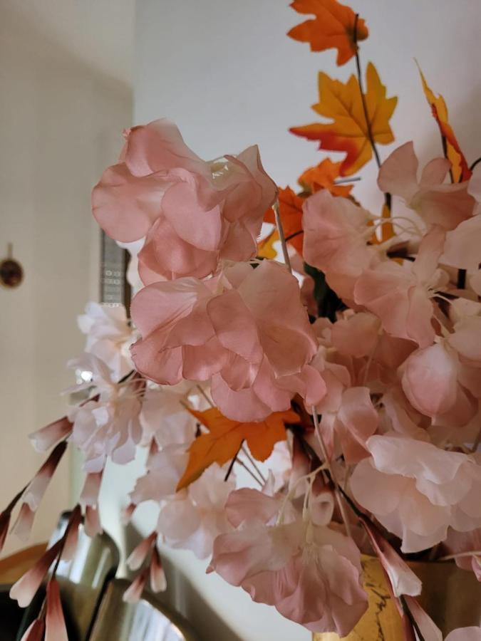 La Maison De Rose Turi Extérieur photo